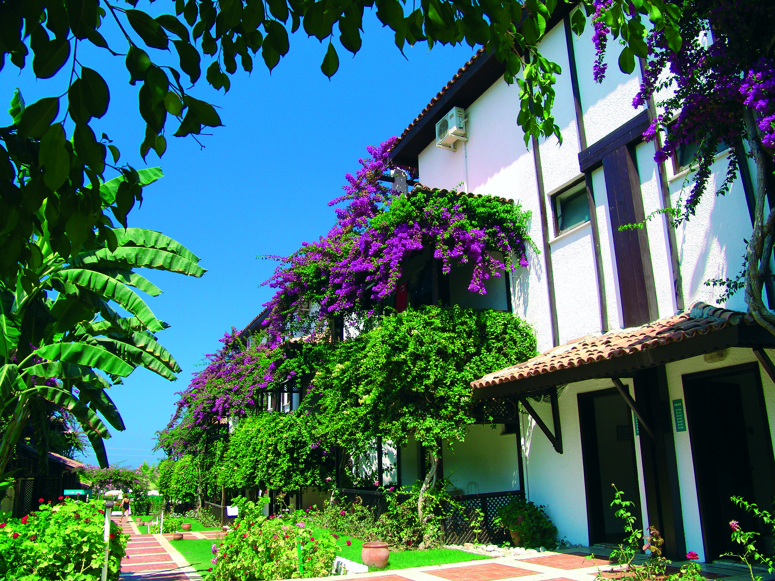 Titan Club Hotel Ultra All Inclusive Kargicak  Bagian luar foto