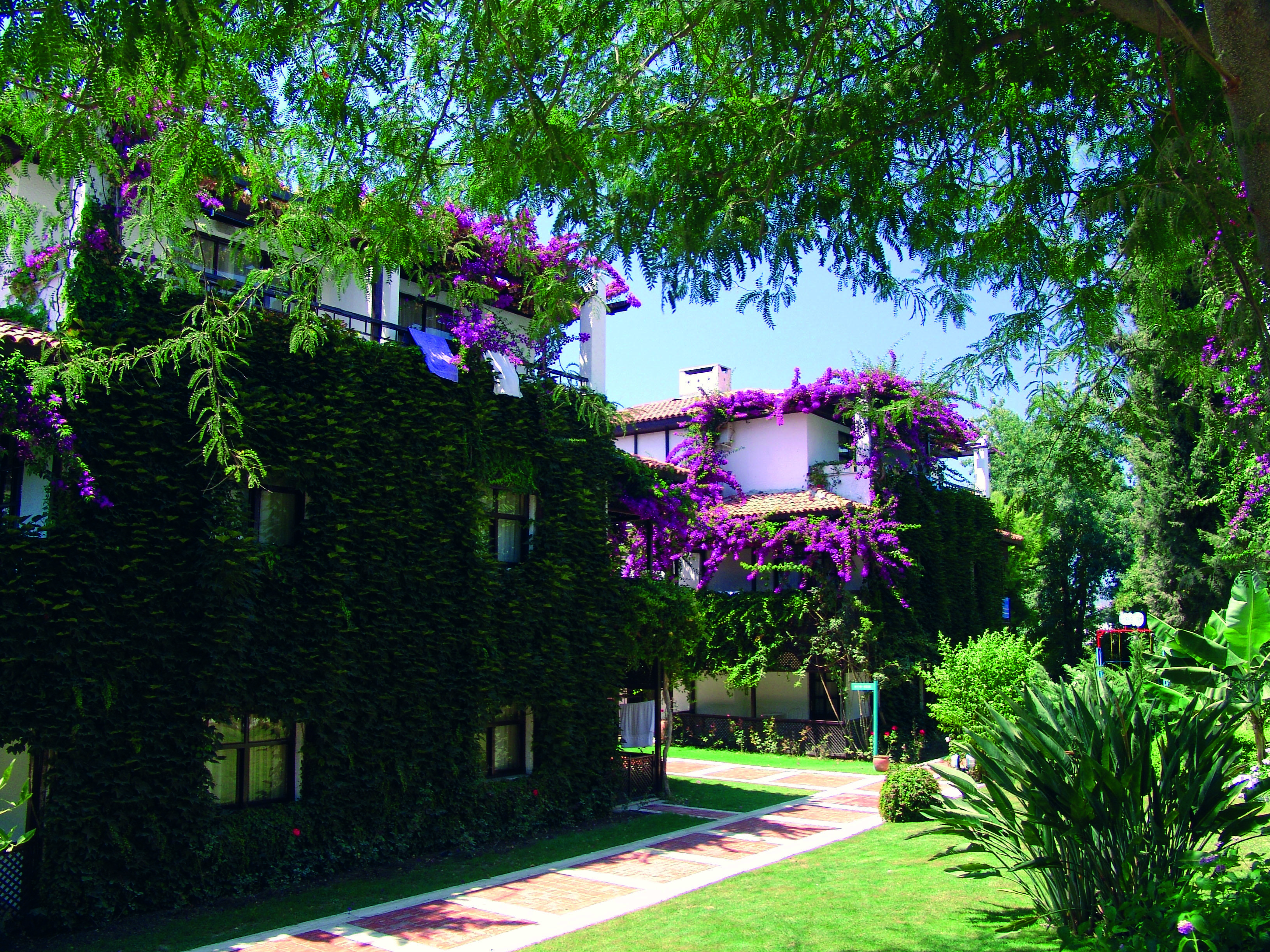 Titan Club Hotel Ultra All Inclusive Kargicak  Bagian luar foto